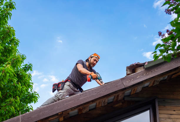 Best Steel Roofing  in Cudahy, CA